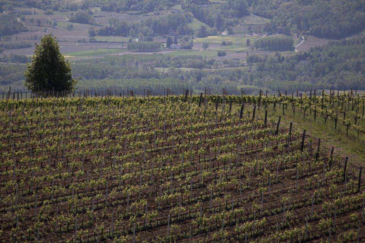 Cascina Marcantonio Acqui Terme Exteriör bild