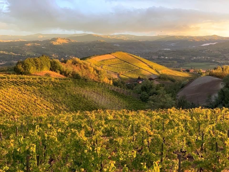 Cascina Marcantonio Acqui Terme Exteriör bild