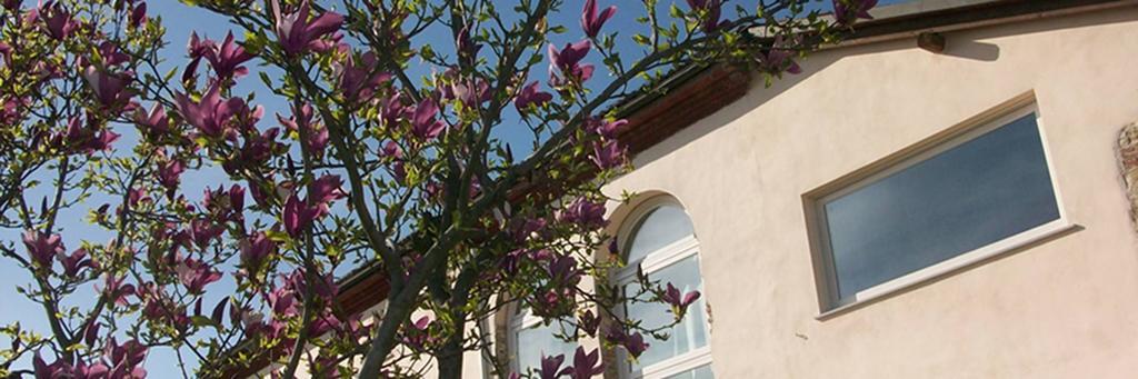 Cascina Marcantonio Acqui Terme Exteriör bild